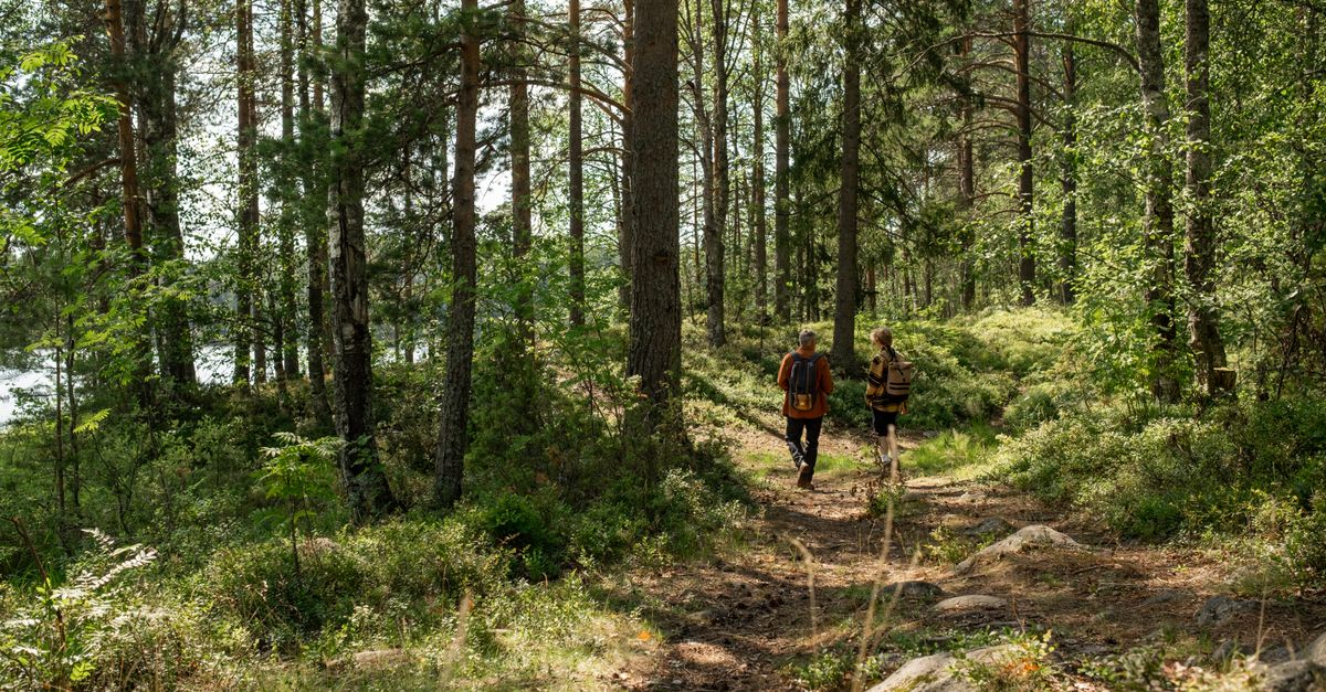 Top 10 Fun Outdoor Activities for Families
