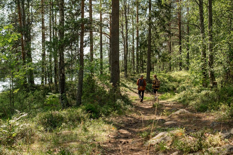 Grandfather And Grandson Walking In A Forest