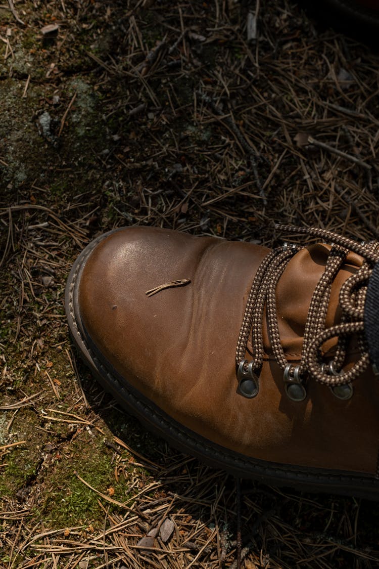 Side View On The Brown Trekking Shoe