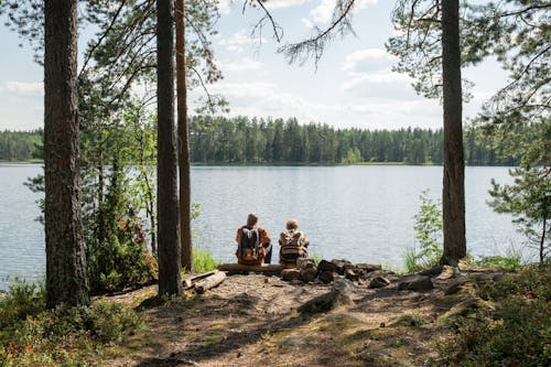 Grandfather and Grandson Sitting on a Log Near a Lake