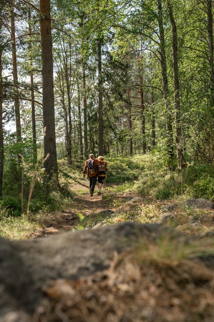 Back View Of A Grandfather And A Grandson Walking In A Forest