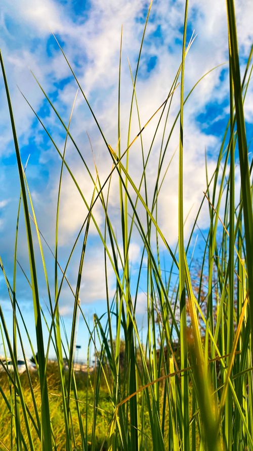Free stock photo of cloud, morning, nature Stock Photo