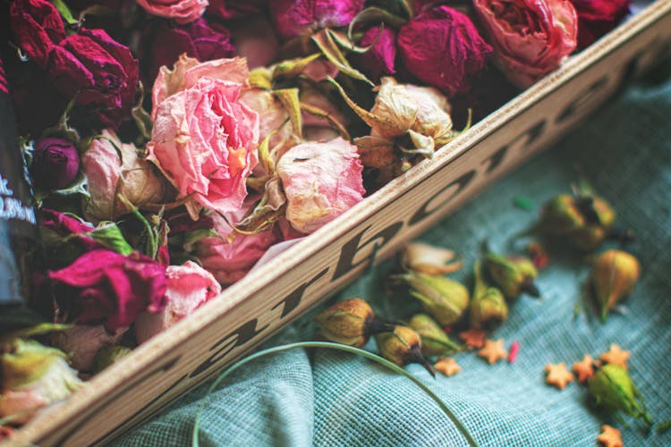 Dried Pink Roses 