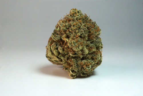 Free stock photo of cannabis, rainbow cake, weed Stock Photo
