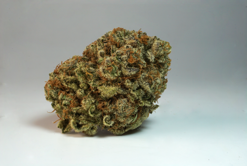Free stock photo of cannabis, rainbow cake, weed Stock Photo
