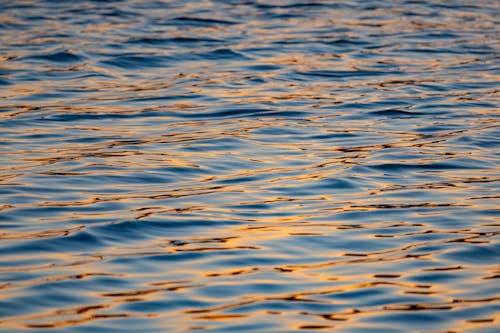 
A Close-Up Shot of a Water Surface