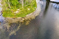 Anglers Wading in Water