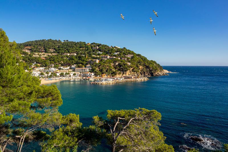 Llafranc beach from above with green hills