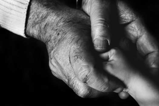 Close-up of elder and child's hands in black and white, symbolizing love and connection.