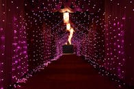 走廊里明亮的紫色灯光令人着迷，营造出室内神奇的氛围