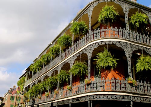 White High-rise Building With Green Leaf Hanging Plants