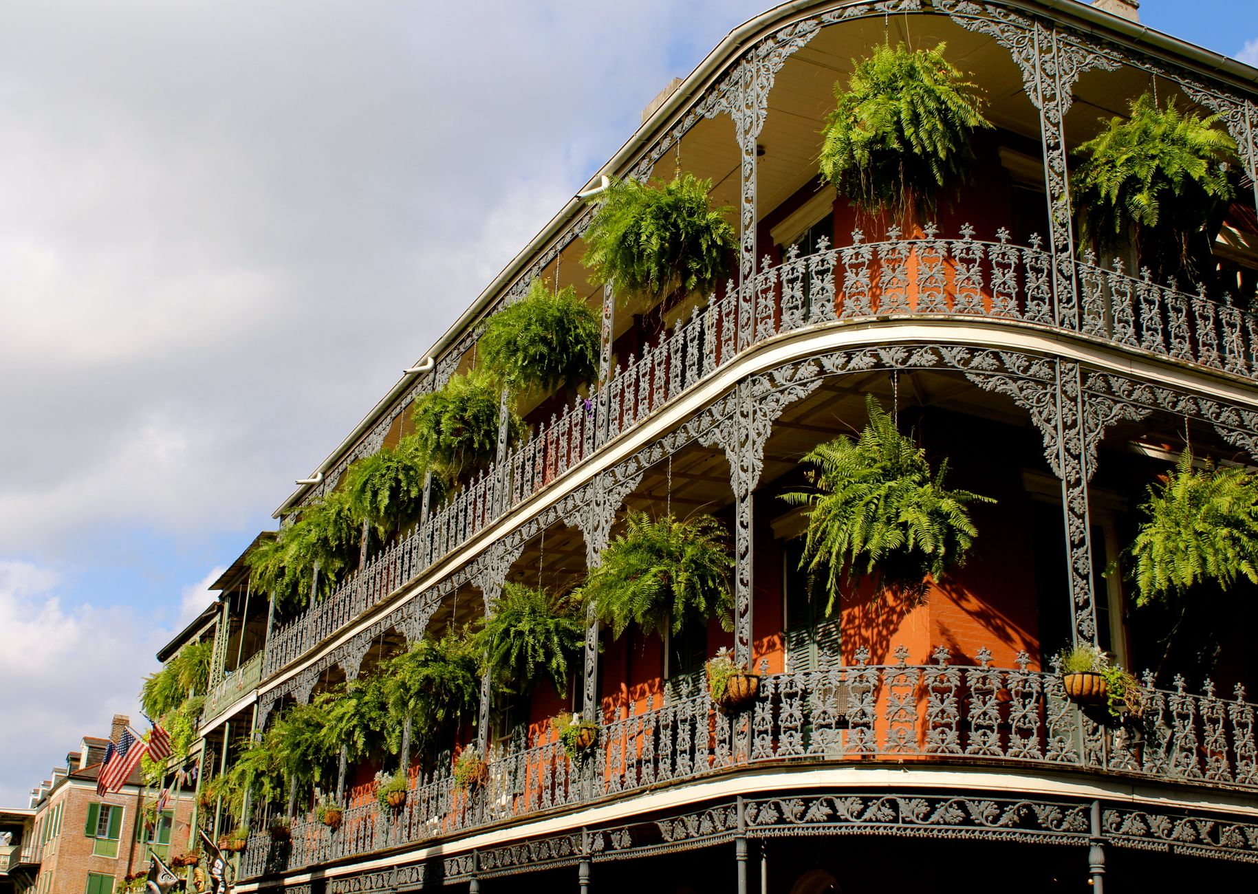 New Orleans photo 3