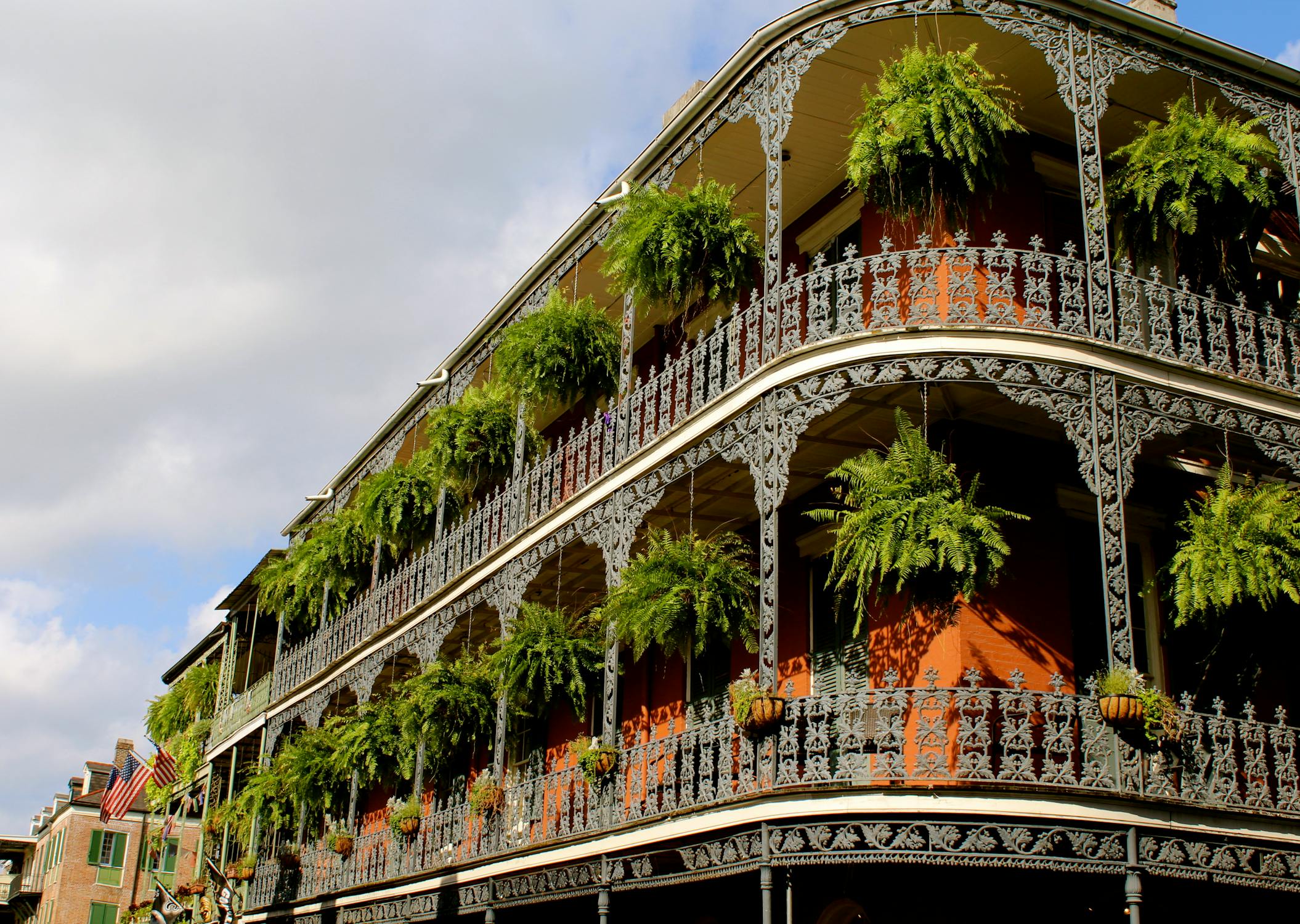 White High-rise Building With Green Leaf Hanging Plants New Orleans a romantic destination