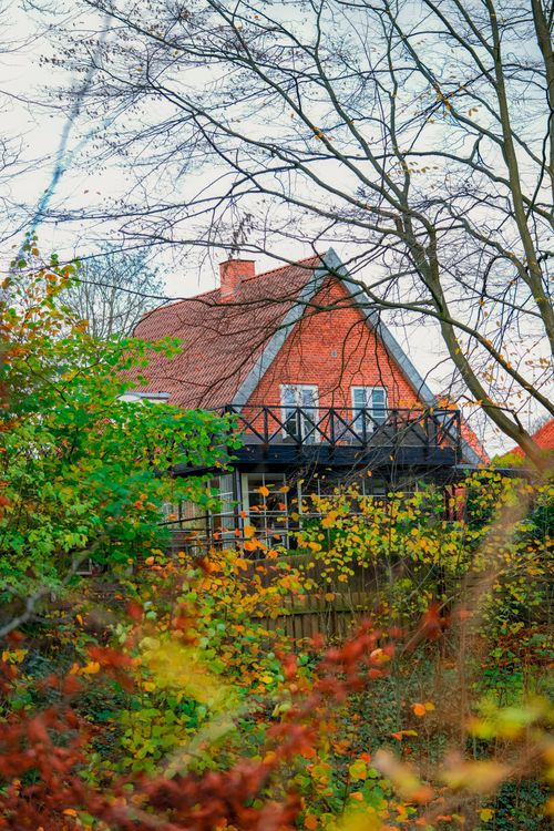 Free A red brick house surrounded by colorful fall foliage, captured in a garden setting. Stock Photo