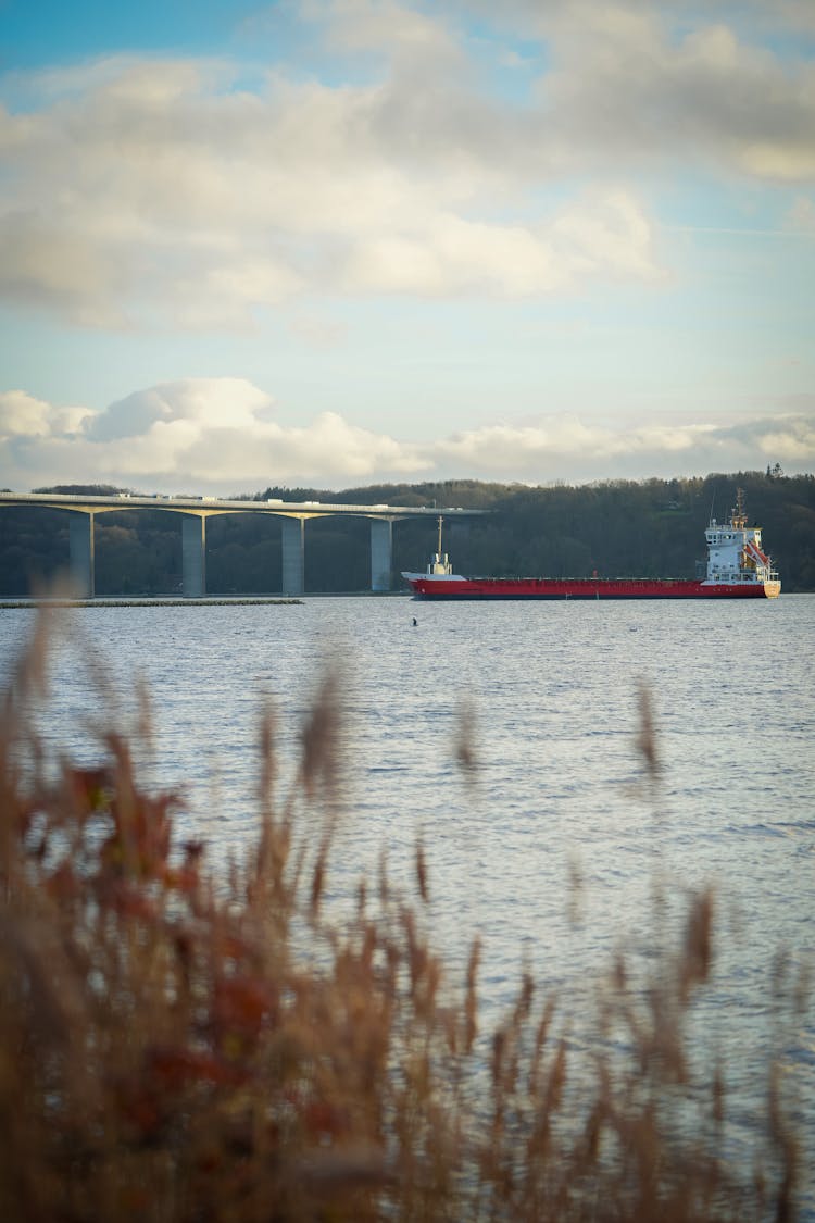 Ship Cruising Near A Bridge