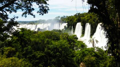 Chutes d'Iguazu entourées de forêt tropicale avec multiples cascades