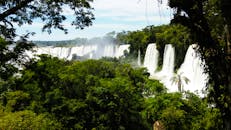 伊瓜苏瀑布这一自然奇观贯穿郁郁葱葱的雨林，展现了茂密的绿色植被和奔腾的水流