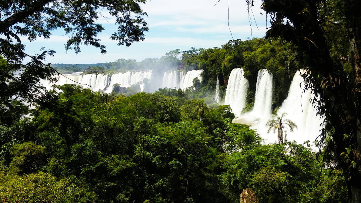 Gratis arkivbilde med amazonas regnskogen, dagslys, dagtid