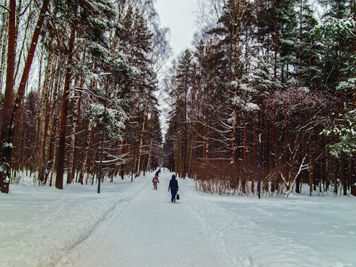 Long Shot of People walking on Snow Covered Ground 