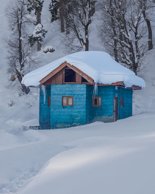 Ahşap ev, buz tutmuş, çıplak ağaçlar içeren Ücretsiz stok fotoğraf