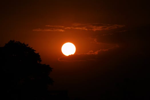 A breathtaking sunset over Dehradun, capturing the sun and silhouetted trees.