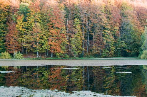 Free Scenic view of autumn forest reflecting in a calm lake in Lumshory, Ukraine. Serene and vibrant. Stock Photo