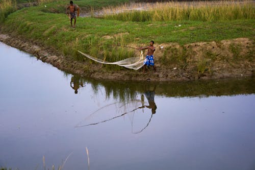 Man Fishing Using a Net