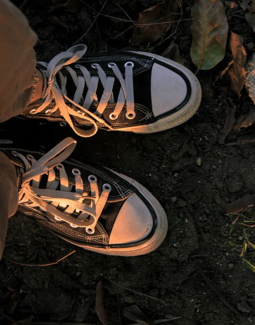 Free Top view of casual sneakers on soil surrounded by leaves in Việt Trì, Vietnam. Stock Photo