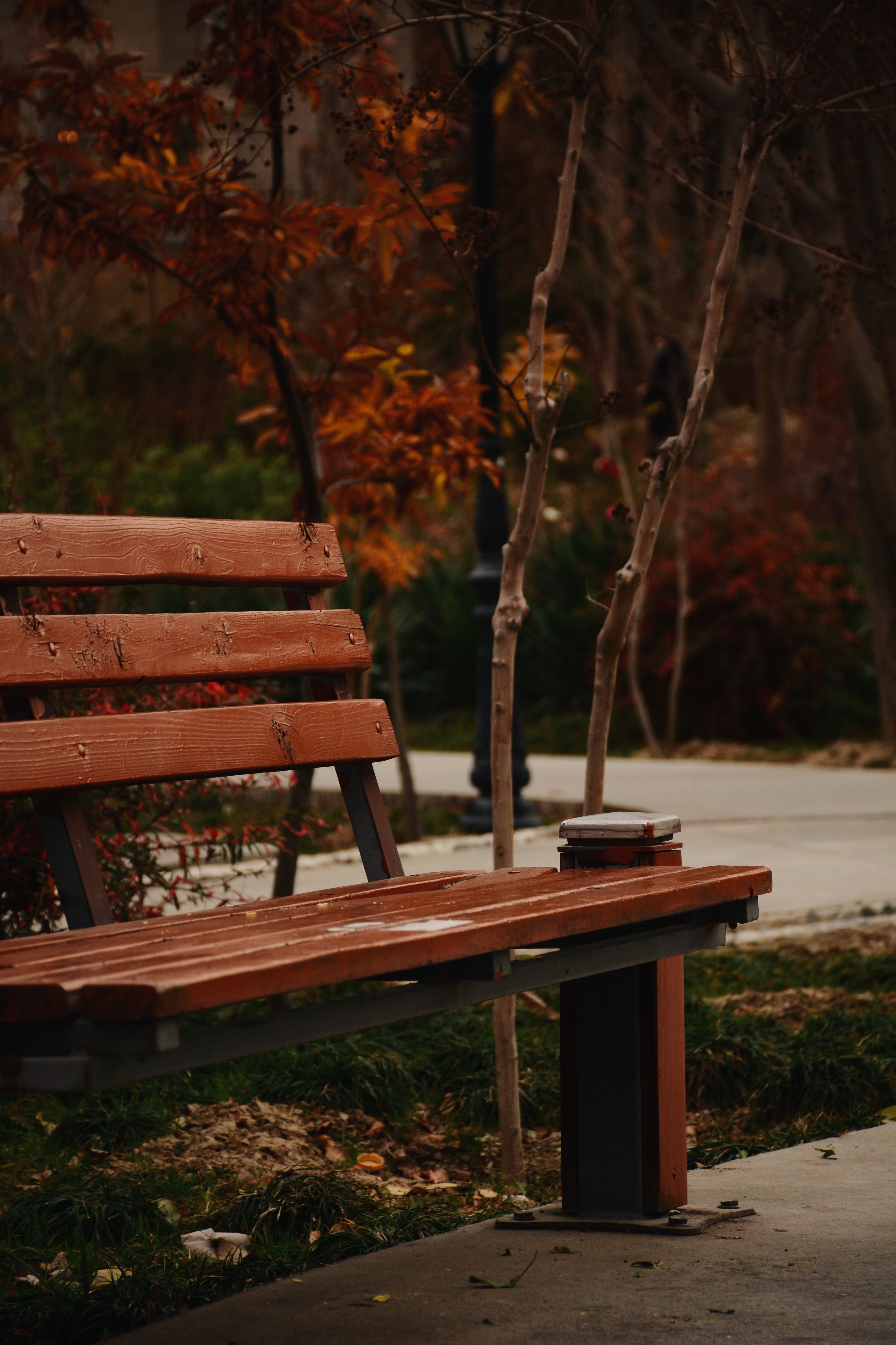 A Wooden Bench at the Park · Free Stock Photo