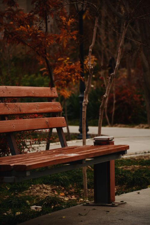 A Wooden Bench at the Park · Free Stock Photo