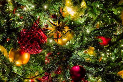 Foto profissional grátis de árvore de Natal, bolas de Natal, celebração