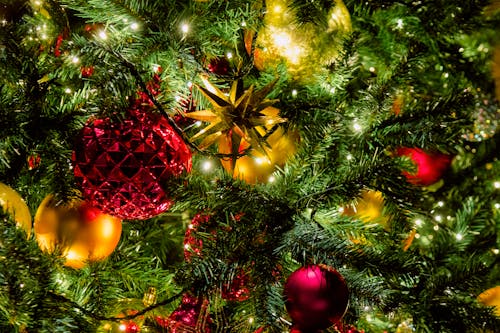 Fotos de stock gratuitas de adornos de navidad, árbol de Navidad, bolas de navidad