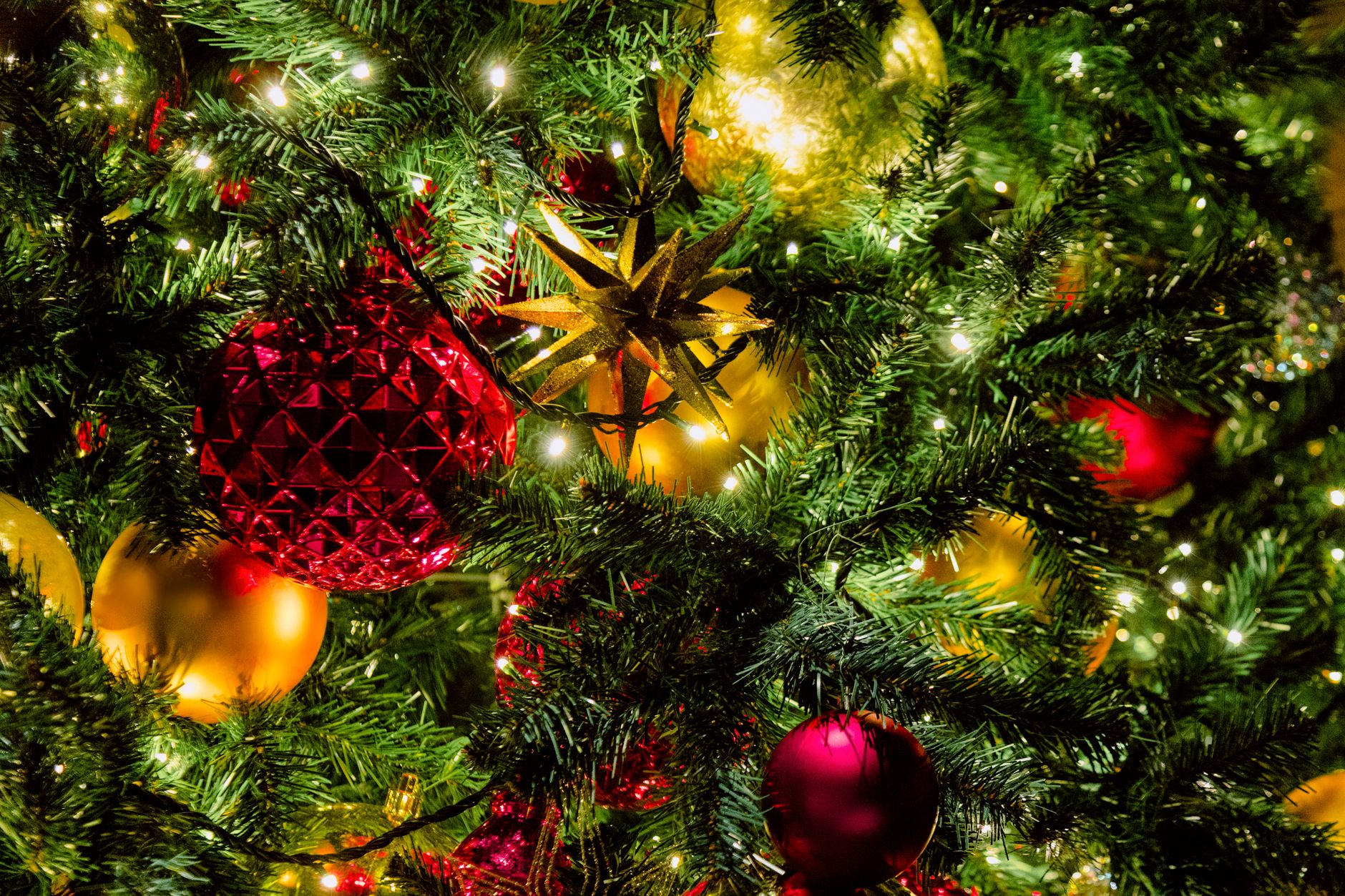 Celebrar Navidad lejos de Casa en Japón