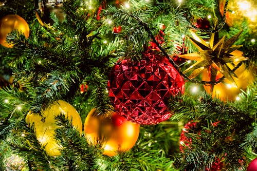 Red and Yellow Baubles on Green Christmas Tree