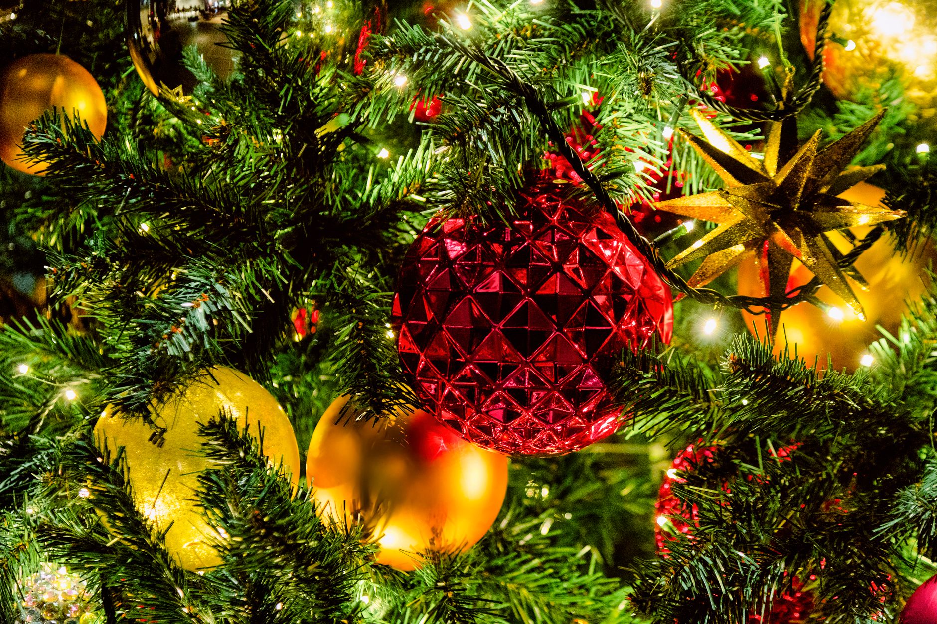 Celebrar Navidad lejos de Casa en Japón
