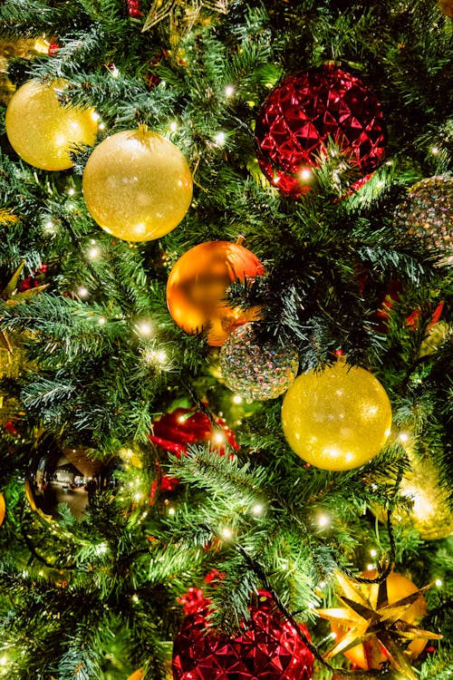Christmas Baubles on a Christmas Tree