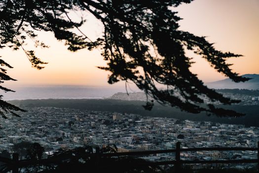 Captivating sunset view of a cityscape meeting the sea, framed by tree branches.