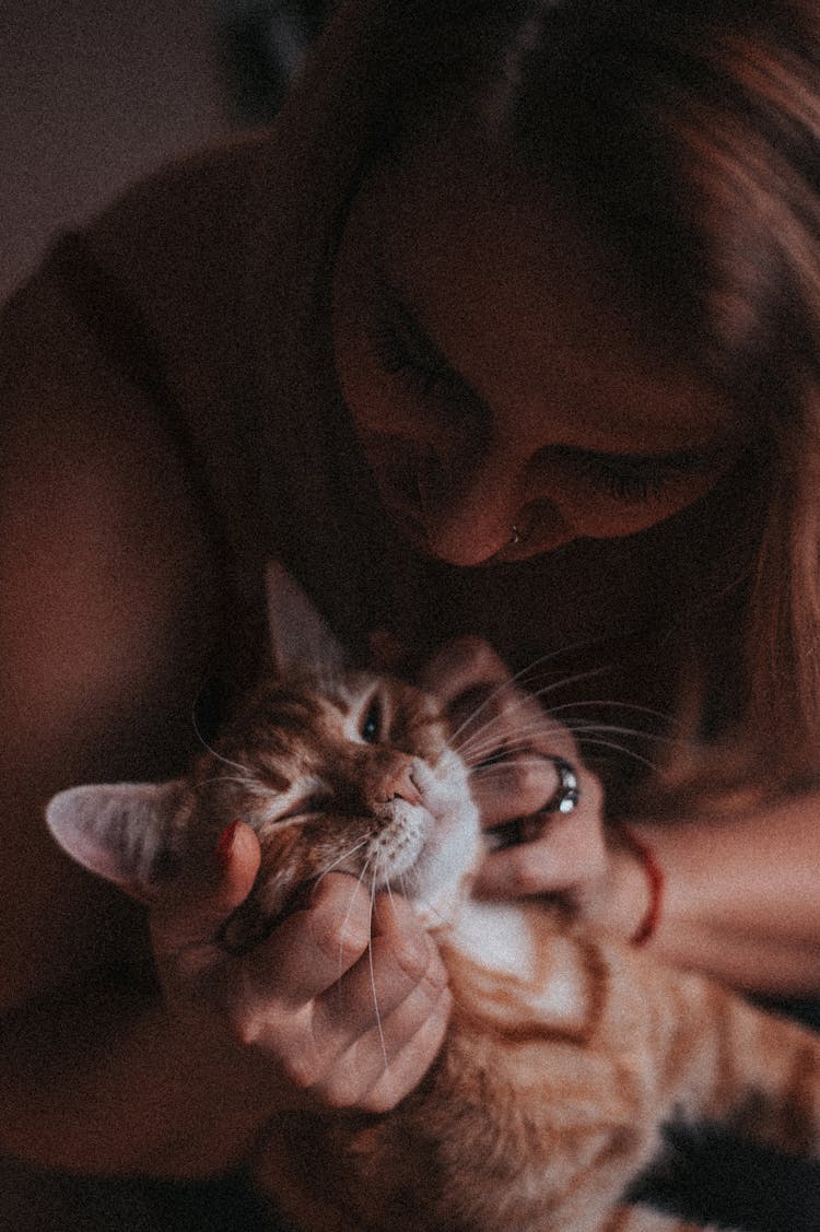 A Woman Pinching A Cat's Face