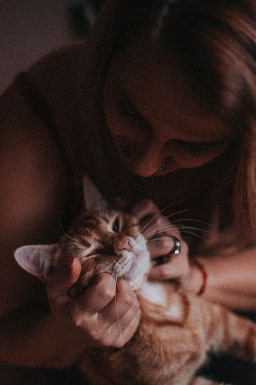 Free Woman gently holds and pets a ginger cat, highlighting bond and affection. Stock Photo