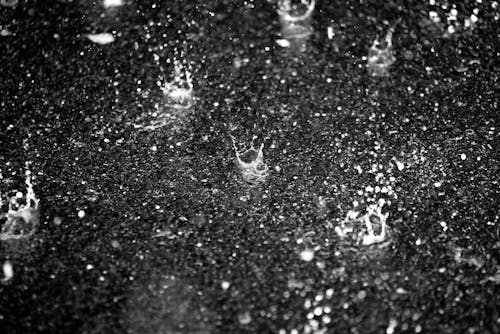 Water Droplets on Black and White Surface