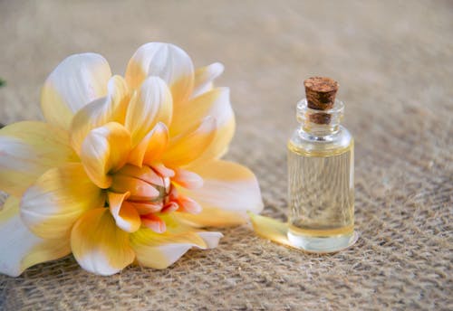 Close-Up Photo of White and Yellow Flower Near Glass Bottle