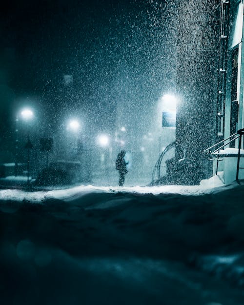 Foto profissional grátis de clima, coberto de neve, de pé