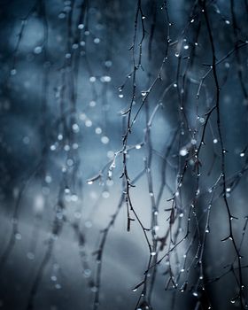 Artistic shot of leafless branches with dew drops in a moody winter setting, capturing nature's beauty.