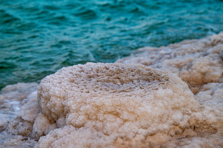 Salt Covered Rock On Sea Shore