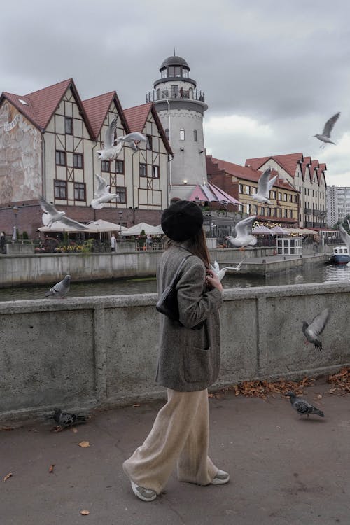 Ilmainen kuvapankkikuva tunnisteilla bleiseri, joen ranta, matkustaa Kuvapankkikuva