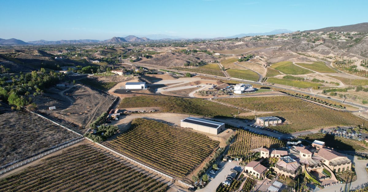 A scenic aerial view of vineyards and countryside in Temecula, California, USA, captured with a modern drone.
