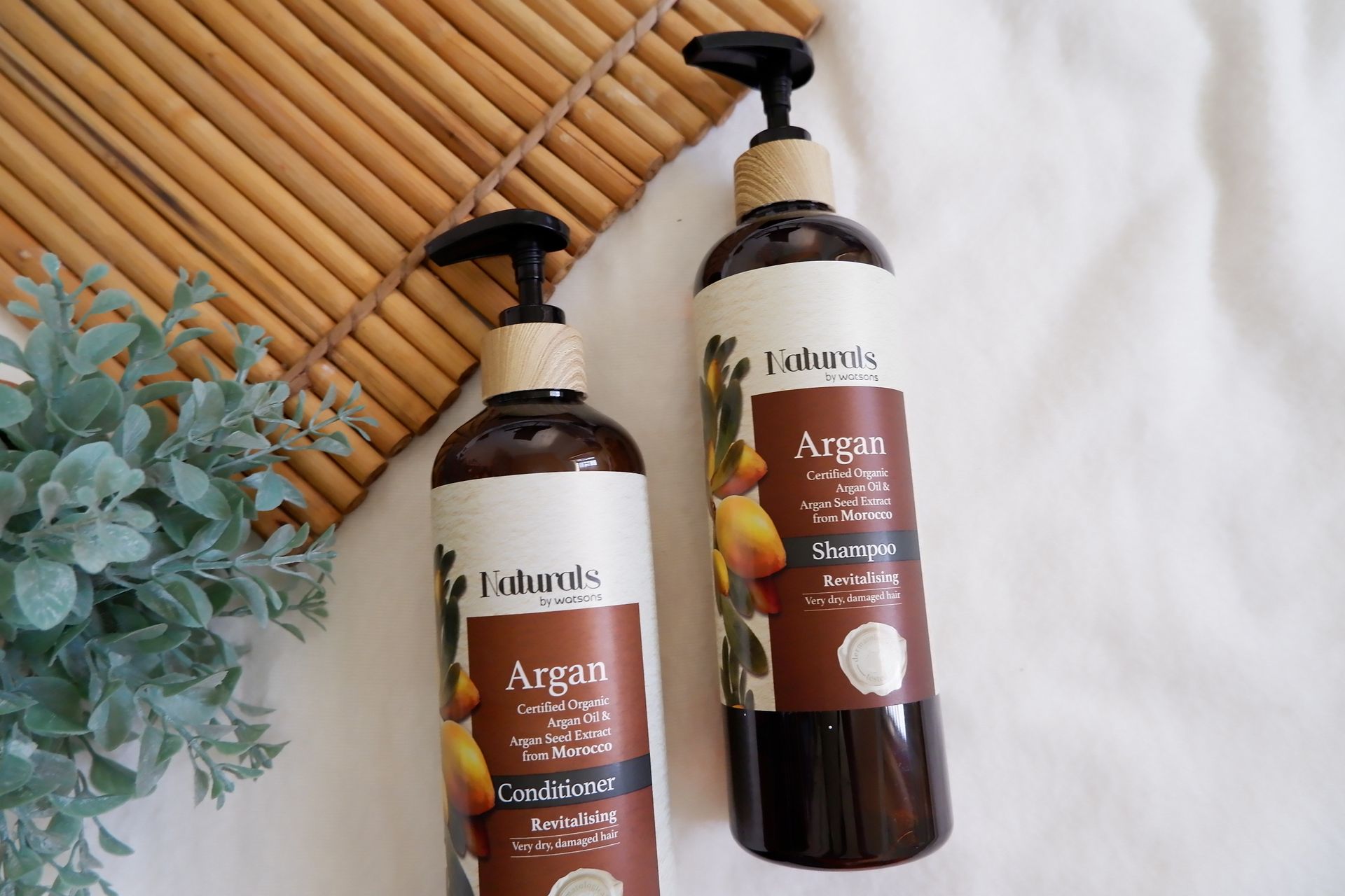 Close up of Shampoo and Conditioner