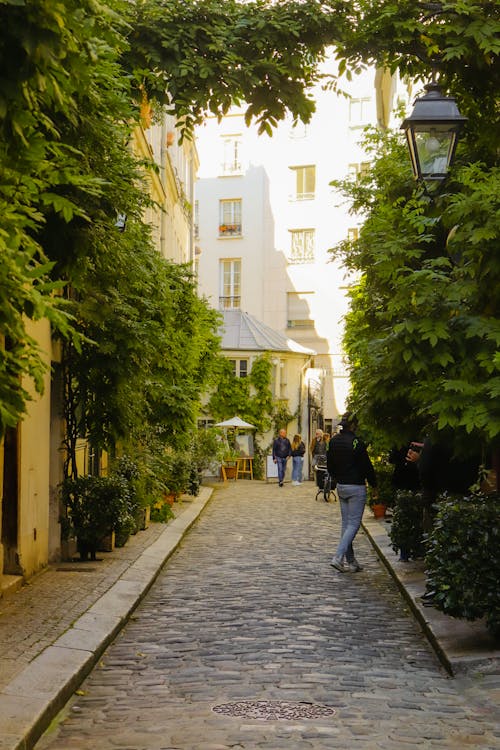 A Cobblestone Walking Street