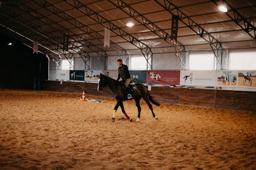 Man Riding Horse in an Areana