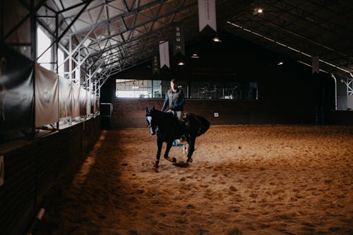 Free A Man Riding a Horse in an Indoor Arena Stock Photo